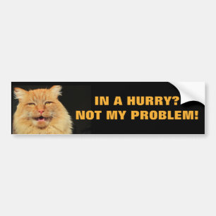 In A Hurry? Not My Problem Cat Meme Bumper Sticker