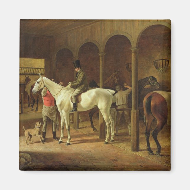 In a Stable Magnet (Front)