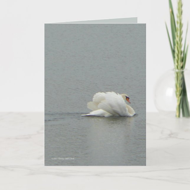 In Beauty Card (Front)