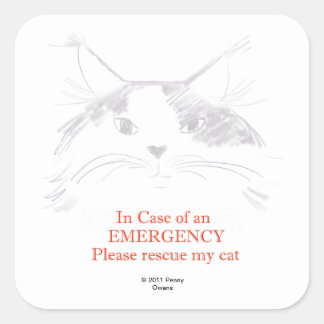 In case of an Emergency- Please rescue my cat Square Sticker