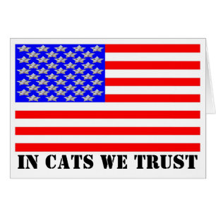 In Cats We Trust