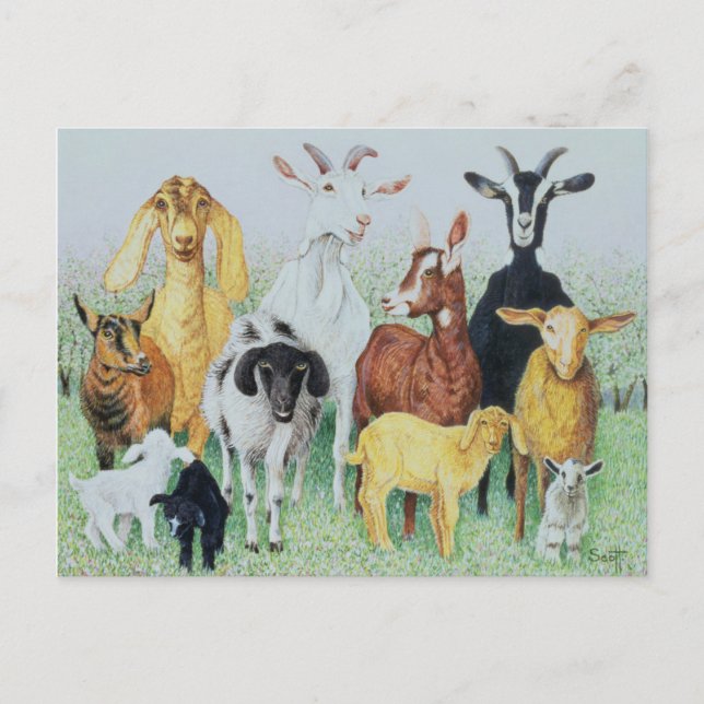 In Clover Postcard (Front)