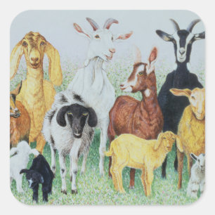 In Clover Square Sticker