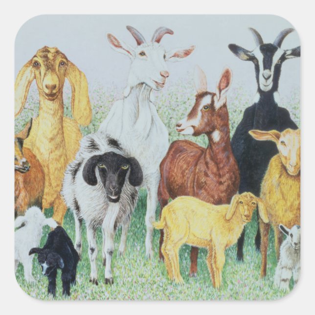 In Clover Square Sticker (Front)