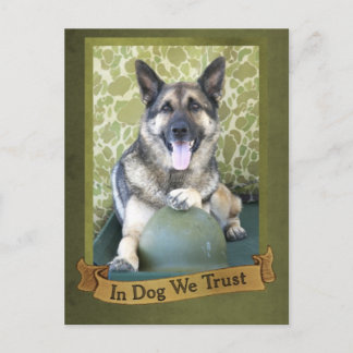 In Dog We Trust Postcard