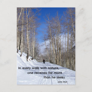 In every walk with nature...by John Muir Postcard