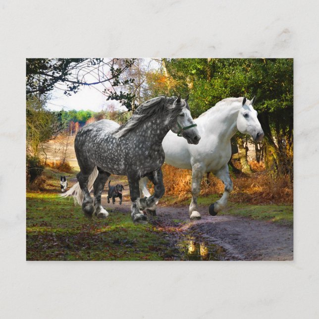 "In From the Meadow" Postcard (Front)