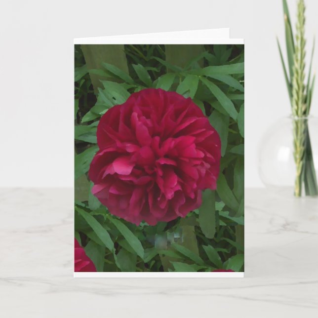 In Full Bloom Card (Front)