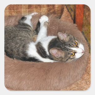 In Her Cat Bed Square Sticker