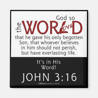 In His Word-John 3:16 Scripture Magnet