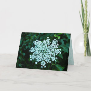 In Love Card