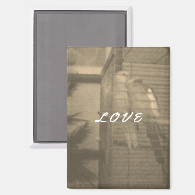 In Love Magnet (Front/Back)