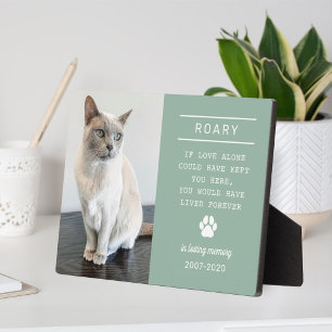 In Loving Memory Cat Photo Sage Green Plaque