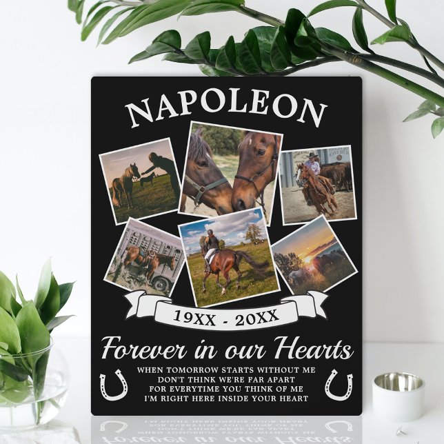 In Loving Memory Horse Plaque (Creator Uploaded)