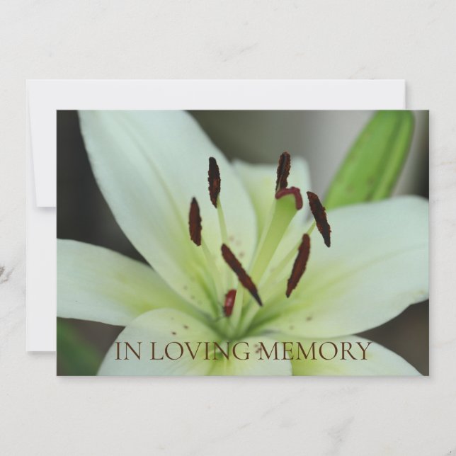 In Loving Memory Memorial Service Invitation (Front)