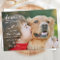 In Loving Memory Modern Custom Photo Pet Memorial