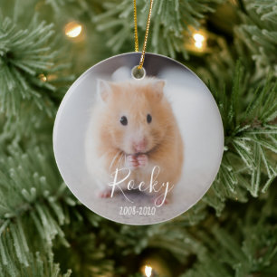 In Loving Memory of Pet, dog cat, chicken, hamster Ceramic Ornament