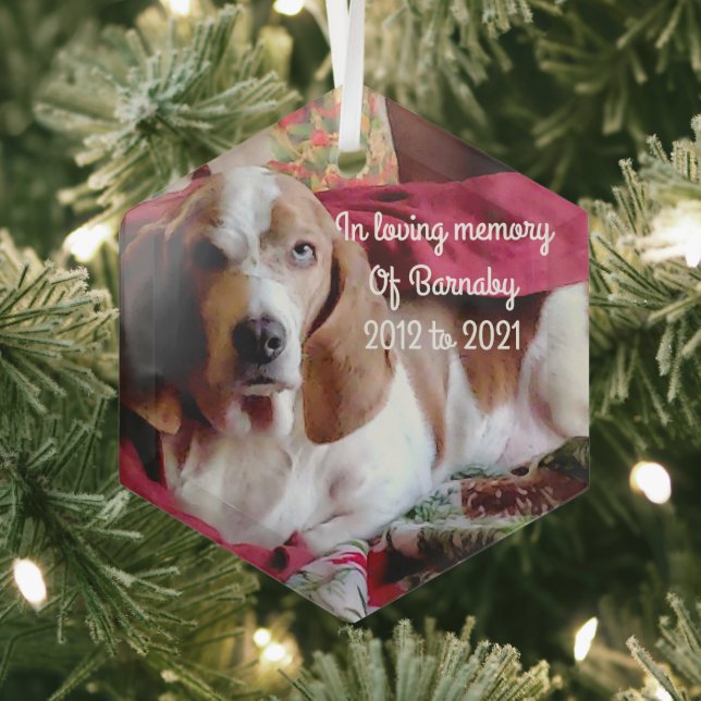 In loving memory pet  glass tree decoration (Insitu)