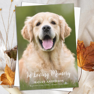 In Loving Memory Pet Memorial Modern Photo Thank You Card