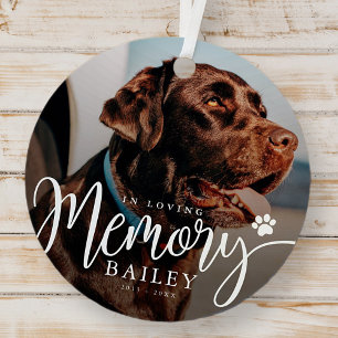 In Loving Memory Pet Memorial Modern Simple Photo Metal Tree Decoration