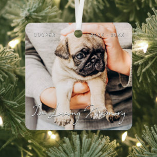 In Loving Memory Pet Memorial Simple Modern Photo Metal Tree Decoration