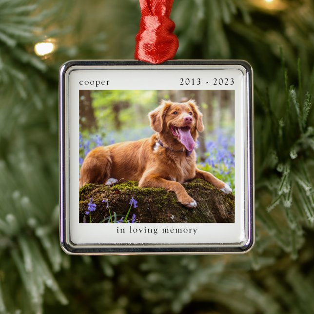 In Loving Memory Photo Pet Memorial Metal Ornament (Tree)