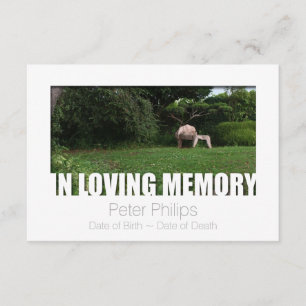 In Loving Memory Template 10 Celebration of Life