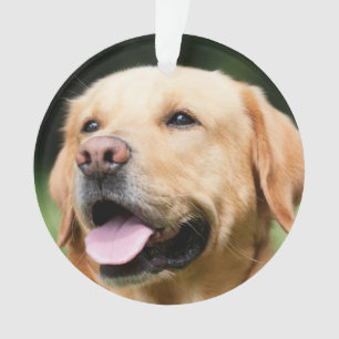 In Memory - Gold Lab customisable Memorial Ornament