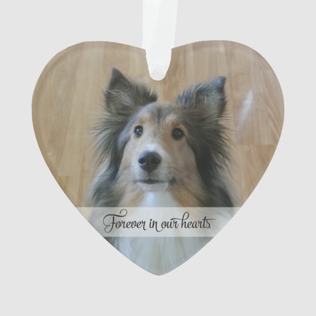 In Memory - Loss of Pet - Custom Photo/Name Ornament (Back)