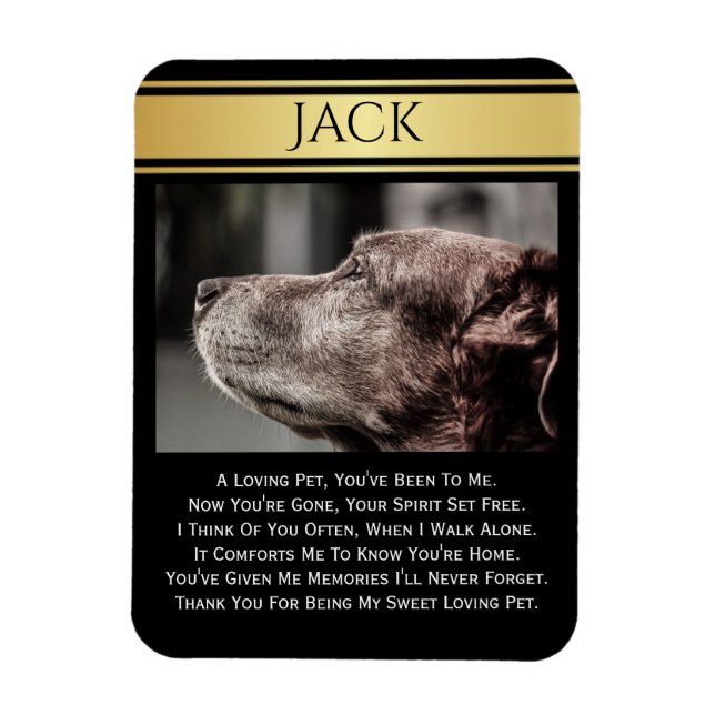 In Memory Of A Lost Pet Magnet (Vertical)