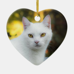 In Memory Of Pet Memorial Rainbow Ornament