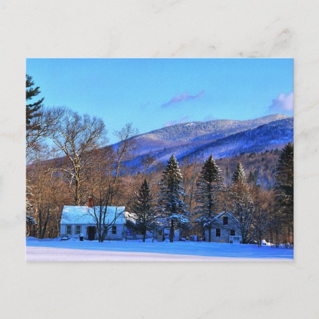 In my backyard-New England Postcard (Front)