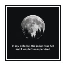 In my defense, the moon was full