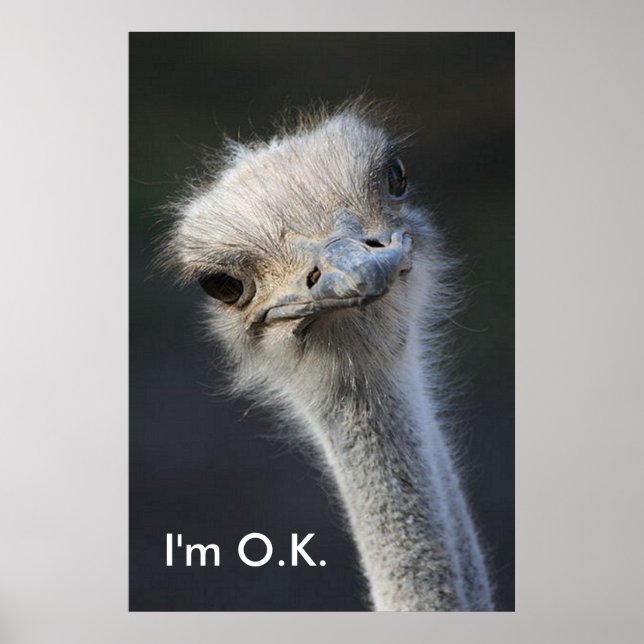 In O.K. Poster (Front)