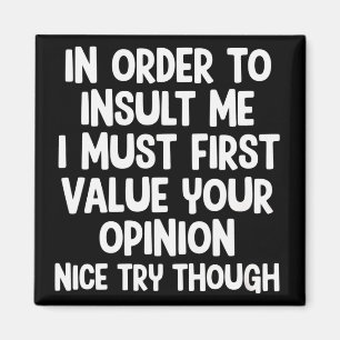 In Order To Insult Me I Must First Value Your Magnet