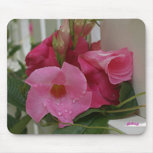 In Pink M_70 Mousepad (Front)