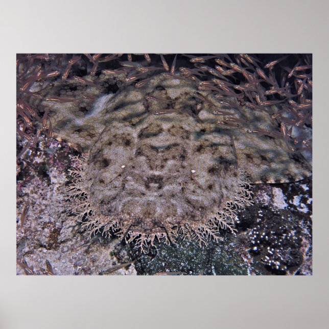 In Plain Sight Poster (Front)