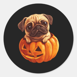 In Pumpkin Halloween Pugkin Cute Pug Halloween Classic Round Sticker