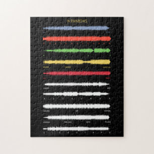 In Rainbows Soundwave Art Puzzle