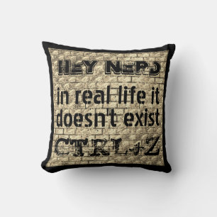 In real life there is no undo, nerd version cushion