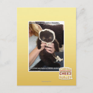 In Several Dumpsters Postcard