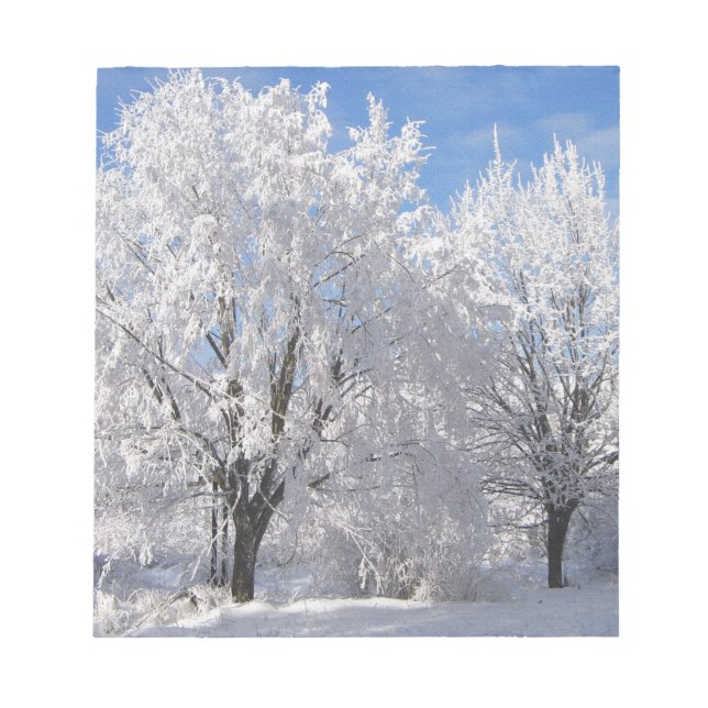 in snow, white trees in winter notepad (Front)