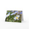 In Sympathy Blue Margurite flower greeting card