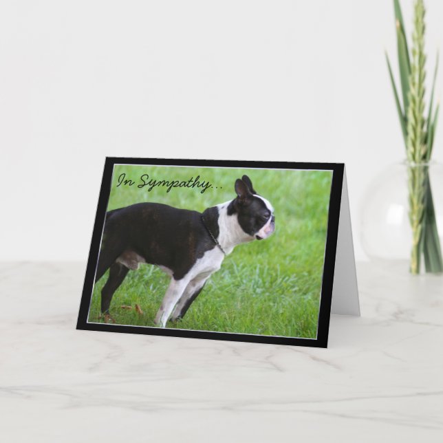In Sympathy Boston Terrier greeting card (Front)