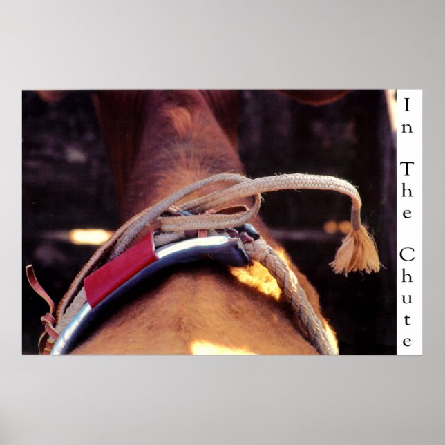 In The Chute Poster (Front)