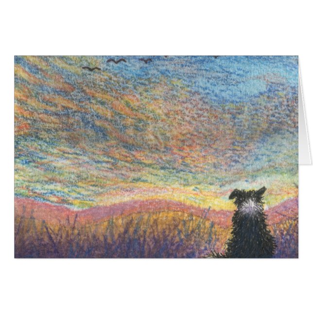 In the Colour of Evening (Front Horizontal)