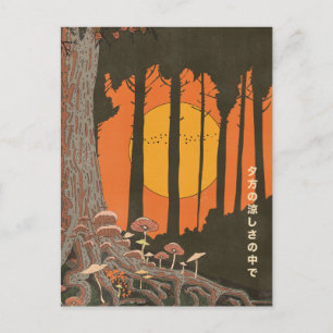 In the coolness of the evening postcard