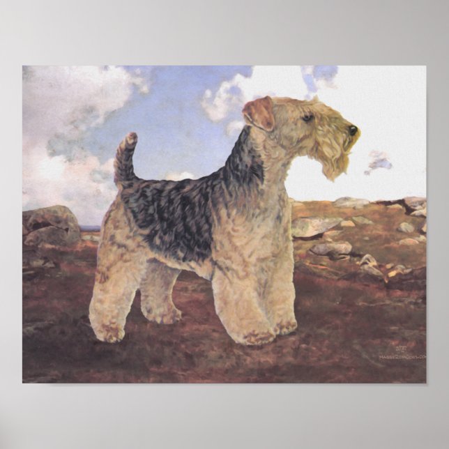 In the Countryside Poster (Front)