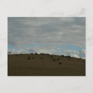 In the distant postcard