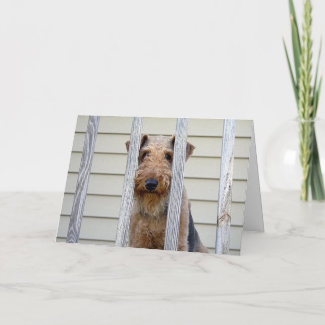 In the Doghouse Card (Front)